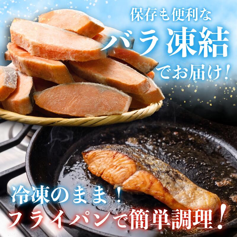 訳あり 銀鮭 切り身 1.5kg～4kg